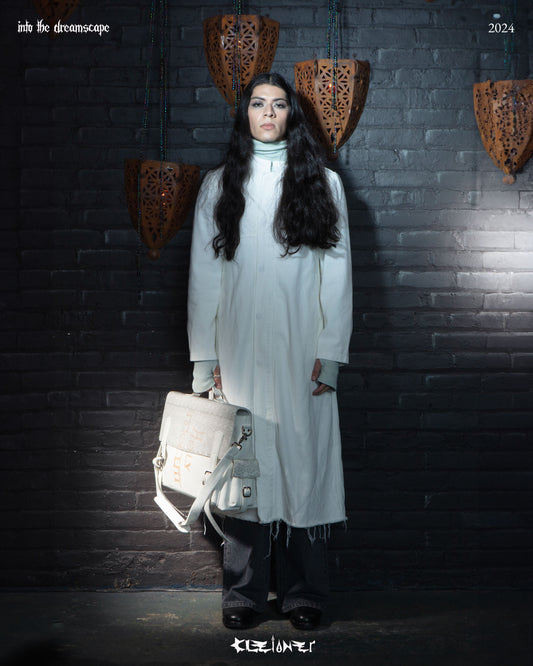 INTO THE DREAMSCAPE 2024